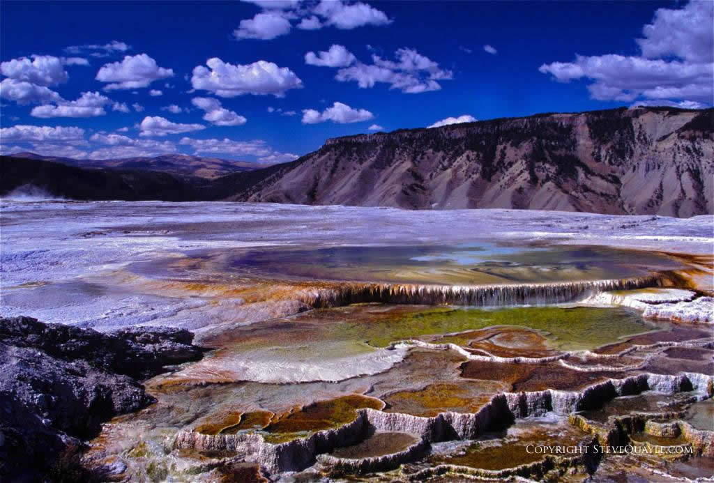 Mammoth Hot Spring Terraces - "painted" beauty