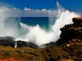 Roaring Seas
