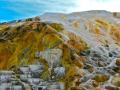 Mammoth Hot Springs - the ever changing colors of creation