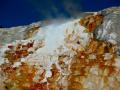 Mammoth Terrace Bacterial Mat