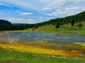 Geyser Lake - Pallet of creation