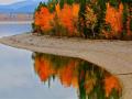 FALL COLORS -- JACKSON LAKE AREA, WYOMING