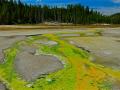 NORRIS GEYSER BASIN -YELLOWSTONE PARK/PHOTO OF DAY-IN 40 YEARS OF PHOTOGRAPHING THIS AREA -I HAVE NEVER SEEN THESE COLORS BEFORE