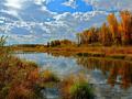 GLORIOUS FALL DAY -- SNAKE RIVER TRIBUTARY-JACKSON HOLE, WYOMING