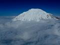 MOUNT RAINIER SUMMIT FLOATING ON A SEA OF CLOUDS