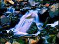 PALLISADE FALLS CREEK--BOZEMAN MONTANA