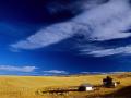 THE DAY IS FAST APPROACHING, WHEN STRANGERS WILL OWN AMERICAS FARMLAND, AND AMERICANS WILL STARVE, WHILE OUR FOOD SUPPLIES ARE SOLD TO FEED THE ELITE!