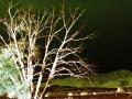CHEMTRAILS ARE DESTROYING EVERYTHING THEY TOUCH--DEATH-SPRAY IS DOING IT&rdquo;S DEVILISH DEEDS--WELCOME TO A MONSTROUS NEW WORLD!