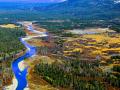 SOUTHERN YELLOWSTONE PARK - PRIME MOOSE HABITATION - I DIDN'T SEE ONE SINGLE MOOSE, JUST SKELETAL REMAINS