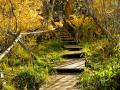 TRUST IN THE LORD WITH ALL YOUR HEART AND LEAN NOT UNTO YOUR OWN UNDERSTANDING IN ALL YOUR WAYS ACKNOWLEDGE HIM AND HE SHALL DIRECT YOUR PATHS!