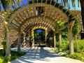 BLACK STALLION WINERY-I LOVE THIS ENTRANCE, IT HAS SUCH AN INVITING AND WELCOMING FEEL TO IT