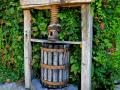 MID 17TH CENTURY WINE PRESS-IT WILL TAKE A NEW HARVEST TO PRODUCE NEW WINE ARE YOUR WINESKINS CAPABLE OF HOLDING IT?