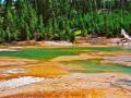 NORRIS GEYSER POOLS - YELLOWSTONE NATIONAL PARK - EACH DIFFERENT COLOR IS A DIFFERENT THERMOPHILE BACTERIA THAT LIVES AT A SPECIFIC TEMPERATURES