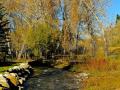 IN THE WORLD OF RETREAT AREAS, YOUR NUMBER ONE CONCERN SHOULD BE INDIGENOUS WATER, SPRINGS AND PONDS
