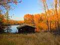 FISHERMAN'S DREAM - A LITTLE CABIN IN THE WOODS WITH CREEKS AND TROUT PONDS ABOUNDING!