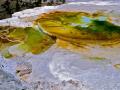 MAMMOTH -YELLOWSTONE PARK- MINERVA TERRACE- WEST SIDE -THIS IS THE AREA ABOVE YESTERDAYS PHOTO