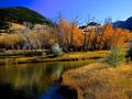 CRYSTAL CLEAR WATER AND TROUT FISHING IS WHY MANY COME TO MONTANA-THE SCENT AND COLORS OF FALL COUPLED WITH CRYSTAL CLEAR WATER IS CAPTIVATING!