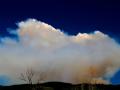 HORRIFIC FOREST FIRES THIS YEAR DUE TO DROUGHT, WILL SIMPLY BE OVERWHELMING AND DEVASTATING IN THE WEST