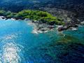 KONA SHORELINE -WHAT STILL FASCINATES ME, IS HOW IN A SEA OF LAVA, YOU FIND TREES AND PLANTS IN VERY INHOSPITABLE LOCATIONS-AERIAL
