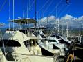 THE BIG ISLAND OF HAWAII HAS SOME OF THE FINEST DEEP SEA FISHING IN THE WORLD, AND  IS A HUGE PART OF THE STATES ECONOMY-THE DAY IS FAST APPROACHING WHERE THE BOATS WILL BECOME IDLE DUE TO FUKUSHIMA!