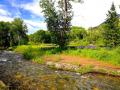 PARADISE VALLEY-AND A RIVER RUNS THROUGH IT! SPRINGTIME IN THE ROCKIES!