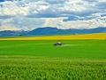 "RECORD BREAKING SNOW AND FLOODING" STILL TO COME, IS GOING TO AFFECT THE GROWING SEASON AND FARMS WORLDWIDE - GLOBAL FAMINE AND MASSIVE STARVATION ARE ON THE HORIZON !