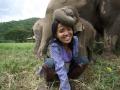 &acirc;��But perhaps the most important lesson I learned is that there are no walls between humans and the elephants except those we put up ourselves, and that until we allow not only elephants, but all living creatures their place in the sun, we can never be who