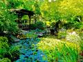 SEATTLE: "JAPANESE GARDENS",SO BALANCED, BEAUTIFUL AND RESTFUL - THE BEAUTY OF GREEN AND FLOWING WATER CAN'T BE BEATEN FOR IT'S CALMING EFFECTS