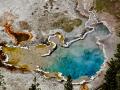 THE BACTERIA : "THERMUS AQUATICUS", FOUND ONLY IN THE GEYSER POOLS OF YELLOWSTONE PARK, HAVE CHANGED THE HISTORY OF GENETIC ENGINEERING FOREVER