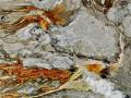 ABSTRACT FLOWS OF MINERAL AND SUPER HEATED BACTERIA IN THE GEYSER POOLS AND GEOTHERMAL VENTS OF YELLOWSTONE, WHAT A MARVEL TO BEHOLD!  COPYRIGHT STEVE QUAYLE