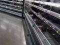 WALMART TOTALLY EMPTY MEAT SHELVES IN "FLIPPIN,  ARKANSAS' LOOKS LIKE THE GLOBALISTS ARE FLIPPING US OFF!