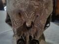 NEW ALIEN SKULL FOUND IN MEXICO -MANTIS PEOPLE FRONT VIEW TOP OF SKULL -- SIDE VIEW LOOK LIKE SOMETHING OUT OF PREDATOR MOVIE